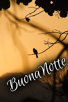 bellissime nuovissimo buonanotte immagini recenti bellissime nuovissimo buonanotte immagini recenti