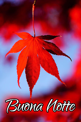bellissime nuovissimo buonanotte immagini recenti bellissime nuovissimo buonanotte immagini recenti