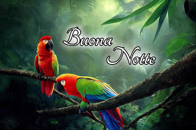 bellissime nuovissimo buonanotte immagini recenti bellissime nuovissimo buonanotte immagini recenti