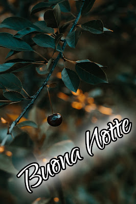 bellissime nuovissimo buonanotte immagini recenti bellissime nuovissimo buonanotte immagini recenti