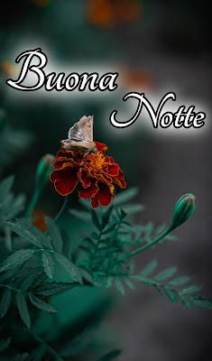 bellissime nuovissimo buonanotte immagini recenti bellissime nuovissimo buonanotte immagini recenti
