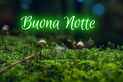 bellissime nuovissimo buonanotte immagini recenti bellissime nuovissimo buonanotte immagini recenti