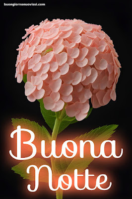 buona notte originalissima