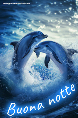buonanotte originalissima gif whatsapp