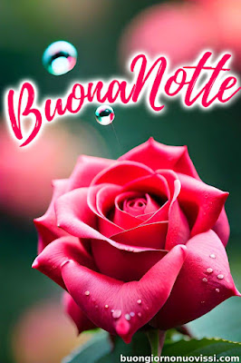 buonanotte originalissima buonanotte originalissima