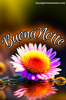 buonanotte originalissima buonanotte originalissima