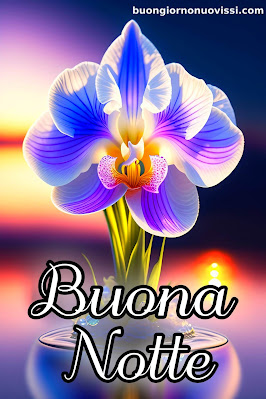 buonanotte originalissima buonanotte originalissima