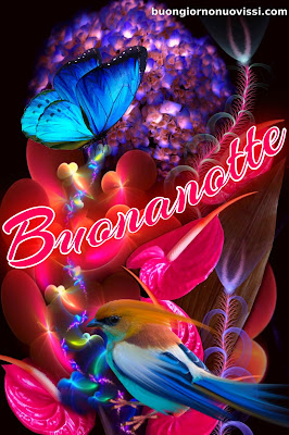 buonanotte originalissima buonanotte originalissima