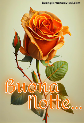buonanotte originalissima buonanotte originalissima