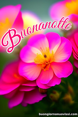 buonanotte originalissima buonanotte originalissima