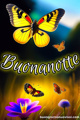 buonanotte originalissima buonanotte originalissima