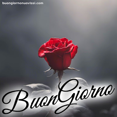 buongiorno nuovissimi buongiorno nuovissimi