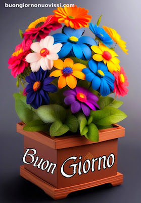 buongiorno nuovissimi buongiorno nuovissimi