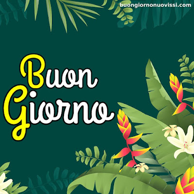 buongiorno nuovissimi buongiorno nuovissimi