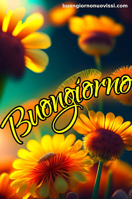 buongiorno nuovissimi buongiorno nuovissimi