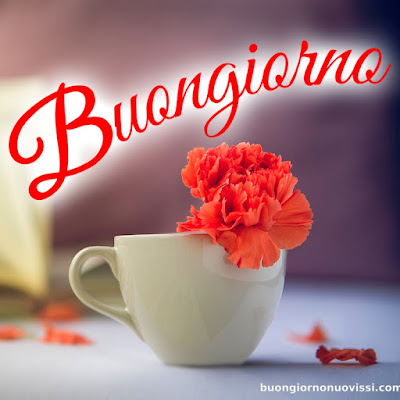 buongiorno nuovissimi buongiorno nuovissimi