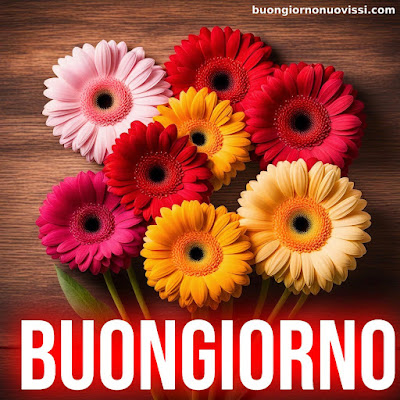 buongiorno nuovissimi buongiorno nuovissimi