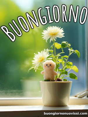 buongiorno nuovissimi buongiorno nuovissimi