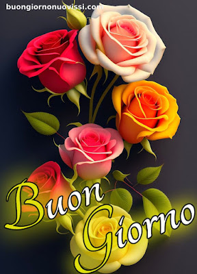 buongiorno nuovissimi buongiorno nuovissimi