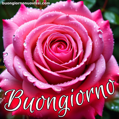 buongiorno nuovissimi buongiorno nuovissimi