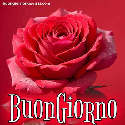 buongiorno nuovissimi buongiorno nuovissimi