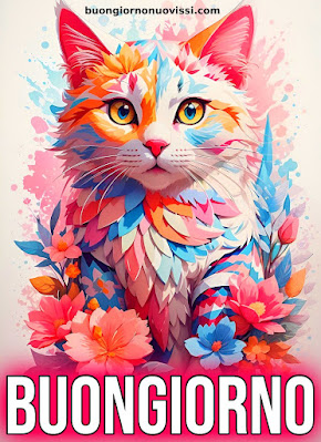 buongiorno nuovissimi buongiorno nuovissimi