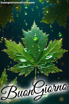 buongiorno nuovissimi buongiorno nuovissimi