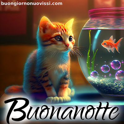 dolce buonanotte immagini recenti