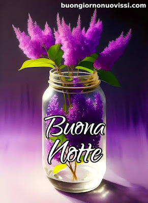 dolce buonanotte immagini recenti