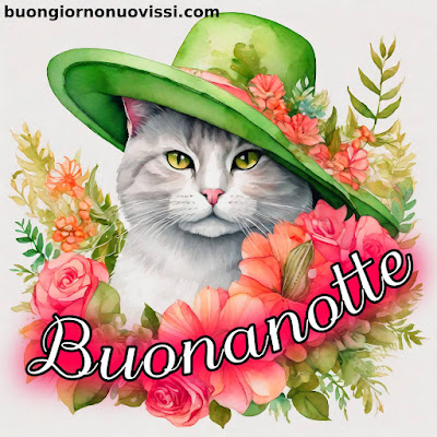 dolce buonanotte immagini recenti