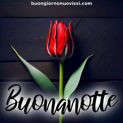 dolce buonanotte immagini recenti