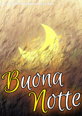dolce buonanotte immagini recenti