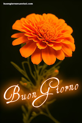 immagini buongiorno nuove