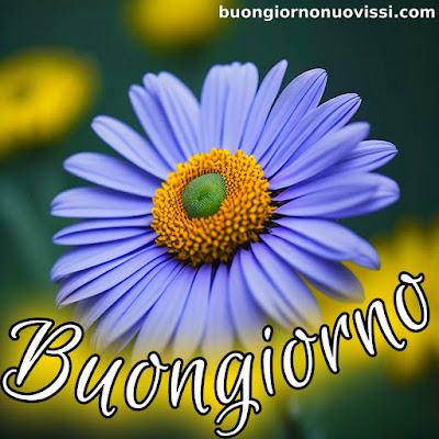 le ali del sorriso buongiorno immagini nuove gratis whatsapp