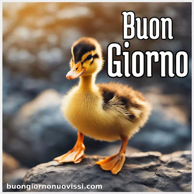 le ali del sorriso buongiorno immagini nuove gratis whatsapp