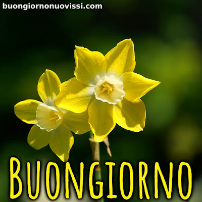 le ali del sorriso buongiorno immagini nuove gratis whatsapp