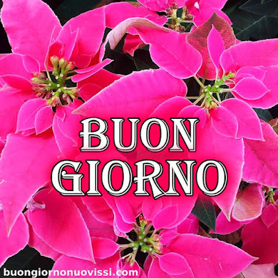 le ali del sorriso buongiorno immagini nuove gratis whatsapp