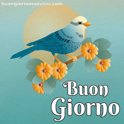 le ali del sorriso buongiorno immagini nuove gratis whatsapp