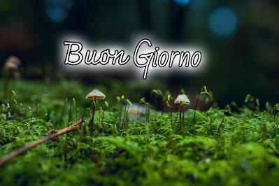 le ali del sorriso buongiorno immagini nuove gratis whatsapp le ali del sorriso buongiorno immagini nuove gratis whatsapp