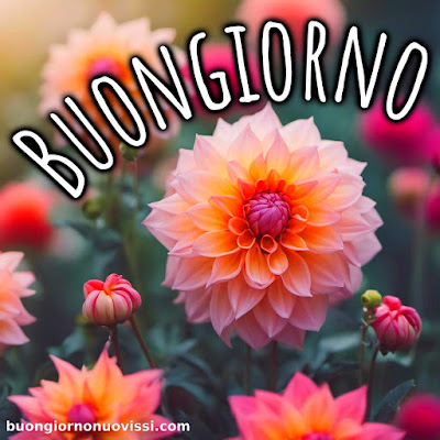 le ali del sorriso buongiorno immagini nuove gratis whatsapp