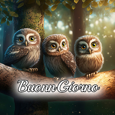 le ali del sorriso buongiorno immagini nuove gratis whatsapp le ali del sorriso buongiorno immagini nuove gratis whatsapp