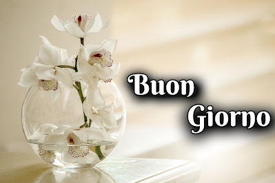 le ali del sorriso buongiorno immagini nuove gratis whatsapp le ali del sorriso buongiorno immagini nuove gratis whatsapp