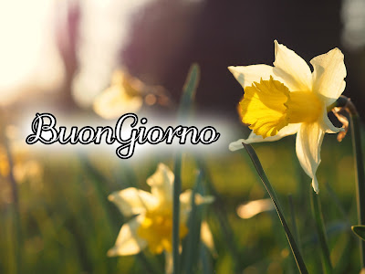 le ali del sorriso buongiorno immagini nuove gratis whatsapp le ali del sorriso buongiorno immagini nuove gratis whatsapp