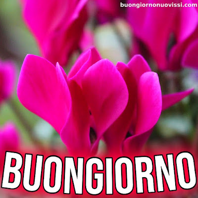 le ali del sorriso buongiorno immagini nuove gratis whatsapp