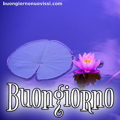 le ali del sorriso buongiorno immagini nuove gratis whatsapp
