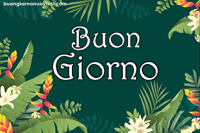 le ali del sorriso buongiorno immagini nuove gratis whatsapp