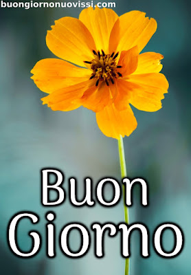 le ali del sorriso buongiorno immagini nuove gratis whatsapp
