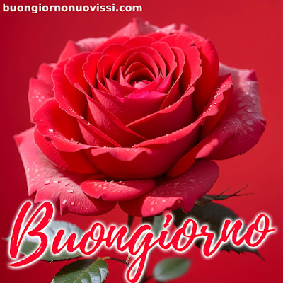 mozzafiato significativo nuovissimo buongiorno immagini recenti