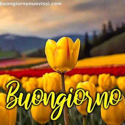 mozzafiato significativo nuovissimo buongiorno immagini recenti