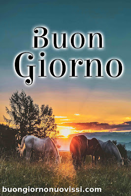 mozzafiato significativo nuovissimo buongiorno immagini recenti